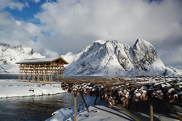 포토 JPG 해외이미지 바다 겨울 자연 아침 주택 노르웨이 사람없음 건물 대서양 2월 스칸디나비아 해외포토 주간 건축물 계절 유럽 날짜 생태계 파일형식 이미지허브