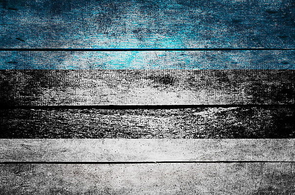 포토 JPG 해외이미지 디자인 벽 가구 백그라운드 패턴 자연 벽지 탁자 표면 추상 바닥 사람없음 목재 장식 빛 문 페인트 공백 수확 흰색 시골 깃발 거친 널 정상 낟알 심볼 책상 묘사 질감 먼지 애국심 그런지 수목 에스토니아 옛날 파케트 해외포토 나무 유럽 컬러 생활용품 무늬 농업 재료 생태계 파일형식 이미지허브