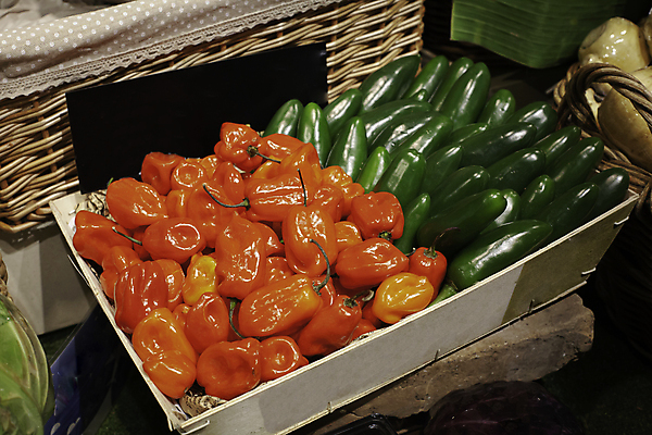 포토 JPG 해외이미지 접시 음식 백그라운드 채소 오렌지 과일 재료 고추 탁자 불 건강 요리 사람없음 빨간색 빛 농작물 농장 갈색 노란색 검은색 식사 수확 신선 뜨거움 조미료 맛 먹기 향신료 유기농 매움 정사각형 후추 강렬 숙성 채식주의자 할라피뇨 해외포토 자연요소 도형 식기 웰빙 컬러 가구 컨셉 농업 모션 채식 향미료 파일형식 이미지허브