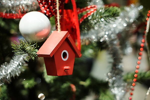 포토 JPG 해외이미지 디자인 백그라운드 컨셉 크리스마스 패턴 공 추상 휴가 새로움 기념 매달리기 사람없음 장식 빨간색 초록색 반짝임 얼음 축제 기쁨 장식볼 축하 신용카드 화려 우아함 소프트포커스 12월 오브젝트 활 보케 엽서 문학 마법 전나무 필터 효과 해외포토 자연요소 나무 기념일 감정 컬러 무늬 모션 촬영기법 금융 날짜 편지 파일형식 이미지허브