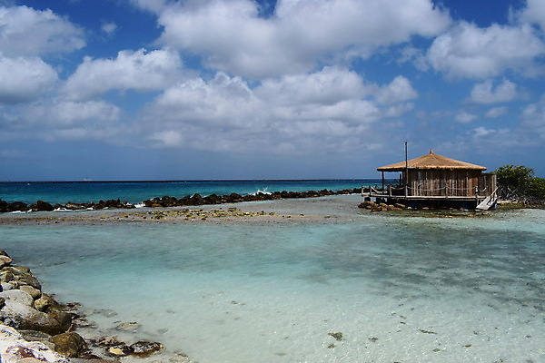포토 JPG 해외이미지 나무 모래 바다 섬 여행 자연 하늘 휴가 손바닥 풍경 사람없음 야외 물 여름 파란색 야자수 맑음 흰색 휴양지 코코넛 카리브해 이국적 파라다이스 수평선 해외포토 자연요소 식물 손 계절 컬러 과일 날씨 장소 생태계 파일형식 이미지허브