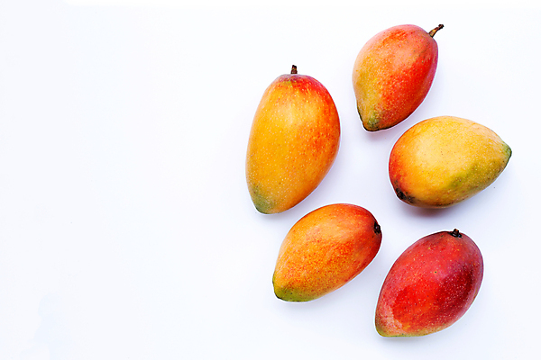 포토 JPG 해외이미지 실내 사람없음 여러개 열대과일 흰배경 망고 카피스페이스 애플망고 해외포토 다수 백그라운드 과일 내부 공백 흰색 파일형식 이미지허브