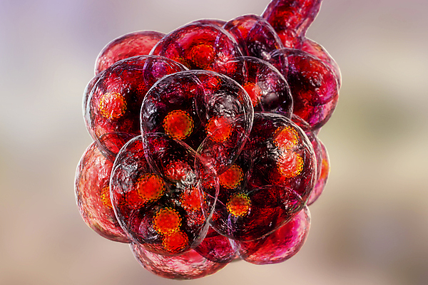 포토 JPG 해외이미지 과학 일러스트 건강 현미경 사람 동양인 사람없음 글로벌 약 3D 중국 펼침 열 호흡기관 바이러스 질병 감염 테라피 백신 염증 전염병 해외일러스트 아시아 의학 모션 실험기구 인종 뷰티 장기_의학 디지털합성 파일형식 이미지허브