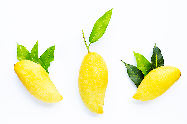 포토 JPG 해외이미지 잎 실내 사람없음 세개 열대과일 흰배경 망고 해외포토 식물 백그라운드 과일 3 내부 흰색 파일형식 이미지허브