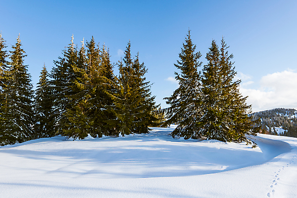 포토 JPG 해외이미지 나무 구름 유럽 여행 겨울 자연 하늘 휴가 스키 산 파노라마 풍경 사람없음 야외 파란색 태양 맑음 냉동 얼음 트래킹 하이킹 추위 성장 흰색 소나무 숲 언덕 서리 북쪽 슬로프 산악지대 웅장함 절정 폭설 눈내림 가문비나무 해외포토 자연요소 식물 계절 나라 컬러 레저 날씨 겨울스포츠 스키장 눈_날씨 촬영기법 자연재해 방향 생태계 파일형식 이미지허브