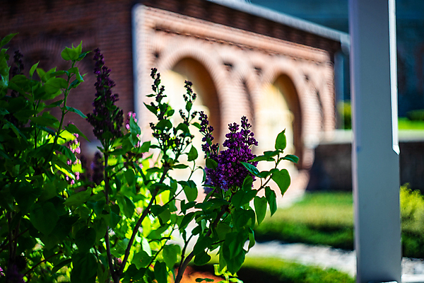 포토 JPG 해외이미지 유럽 벽 조각 여행 건축양식 창문 산 풍경 사람없음 발코니 연못 신용카드 성 중세 분수 아치 모스크 지역 아랍어 조지아 하렘 튀르키예 해외포토 건축물 건축 나라 아시아 금융 역사 이슬람교 동유럽 파일형식 이미지허브