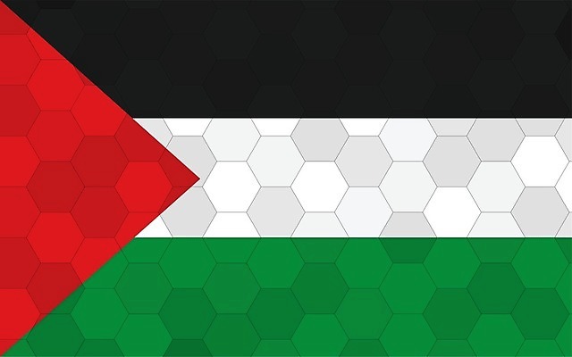 EPS 해외이미지 디자인 배너 문화 여행 백그라운드 일러스트 추상 미래 그래픽 빨간색 초록색 검은색 줄무늬 손상 흰색 깃발 심볼 사인 그림 육각형 직사각형 애국심 벌집 고립 독립 전국 팔레스타인 해외일러스트 도형 컬러 컨셉 무늬 중동 파일형식 벡터 이미지허브