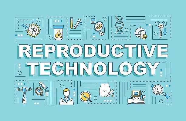 EPS 해외이미지 디자인 배너 영어 점선 선 하늘색 라인일러스트 일러스트 사람모양 현미경 타이포그라피 사람없음 단어 임신 의사 시험관 태아 자궁 난자 초음파검사 해외일러스트 모양 문자 의학 실험기구 파란색 의료진 장기_의학 검사_조사 생식세포 파일형식 벡터 이미지허브