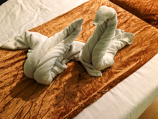 포토 JPG 해외이미지 디자인 여행 가구 베개 아프리카 호텔 아침 휴가 휴식 실내 이집트 사람없음 내부 장식 수건 숫자 기댐 놀람 침실 방 흰색 침대 담요 서비스 질감 백조 공상 안락 해외포토 주간 문자 감정 나라 컬러 생활용품 컨셉 침구 모션 조류 숙소 표정 위생용품 파일형식 이미지허브