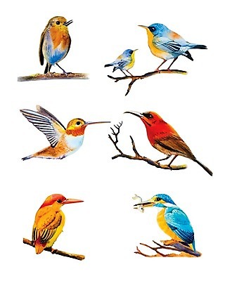 EPS 해외이미지 동물 디자인 커플 계절 감정 아시아 야생동물 백그라운드 패턴 일러스트 가족 자연 벽지 조류 사랑 미술 야외 세트 컬러풀 귀여움 환경 나뭇가지 그리기 수집 깃털 그림 질감 엽서 노려봄 내추럴 고립 동물상 물총새 생태학 해외일러스트 나무 교육 나라 컬러 컨셉 무늬 관계 모션 문화예술 표정 조형물 편지 생태계 파일형식 벡터 이미지허브