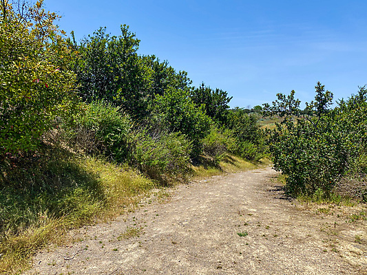 포토 JPG 해외이미지 라이프스타일 도로 길 스포츠 여행 포즈 십자가 자국 모션 자연 휴가 산 건조 기술 건강 안전 경사 사람없음 목재 초록색 운동 계곡 자전거 하이킹 에너지 오토바이 용기 승차 위험 연습 흥분 순환 캘리포니아 먼지 조감도 하이커 해외포토 나무 그릇 감정 컬러 컨셉 재료 교통시설 레저 생활 바이크 미국 생태계 파일형식 이미지허브