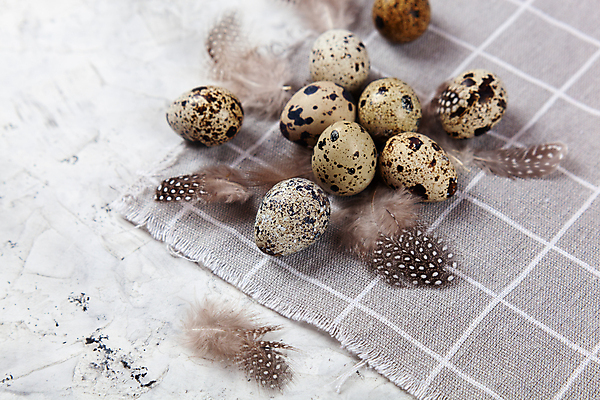 포토 JPG 해외이미지 전통 디자인 계절 행복 음식 백그라운드 컨셉 패턴 재료 자연 조류 휴가 건강 사람없음 장식 농장 갈색 우주 축제 치킨 봄 회색 수확 흰색 시골 축하 그룹 플랫 둥지 작음 먹기 심볼 깃털 유기농 질감 부활절계란 내추럴 메추리 콘크리트 해외포토 동물 웰빙 감정 컬러 무늬 농업 모션 부활절 계란 크기 생태계 닭고기요리 파일형식 이미지허브