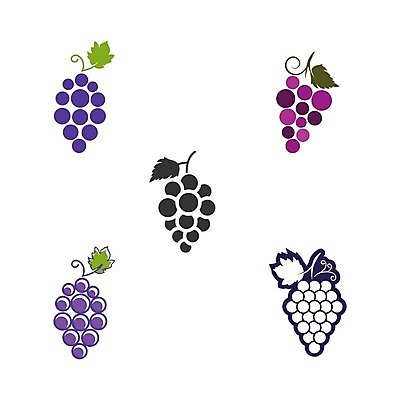 EPS 해외이미지 클립아트 식물 디자인 열매 실루엣 음식 잎 과일 일러스트 탁자 포도 매달리기 건강 그래픽 빨간색 농장 와인 보라색 플랫 달콤 다발 유기농 날것 윤곽 포도밭 포도나무 내추럴 고립 메를로 입가심 해외일러스트 웰빙 컬러 가구 밭 농업 모션 주류 촬영기법 맛 과일나무 파일형식 벡터 이미지허브