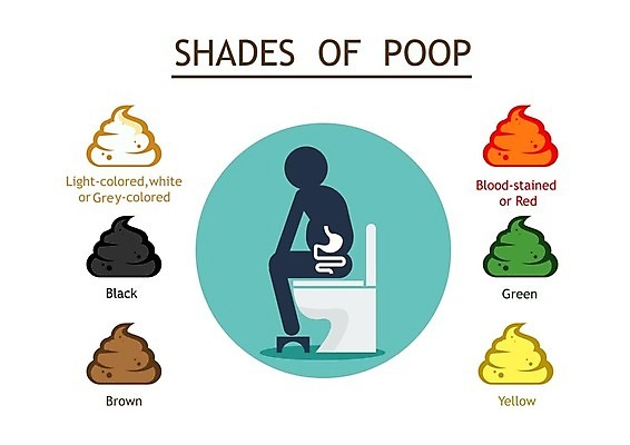 EPS 해외이미지 모양 라이프스타일 컨셉 일러스트 건강 경고 사람 초록색 반려동물 갈색 노란색 힘 인포그래픽 고통 회색 의사 흰색 아기 신생아 그늘 사인 질감 냄새 돌봄 변기통 부담 엘리먼트 위생관리 해외일러스트 동물 감정 컬러 모션 관리 생활 의료진 파일형식 벡터 이미지허브