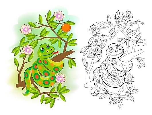 EPS 해외이미지 동물 커플 행복 종이 야생동물 어린이 일러스트 학교 파충류 자연 흑백 동물원 미술 성인 책 초록색 반려동물 장난감 페인트 우정 유치원 게임 아기 뱀 플랫 인쇄 만화 교과서 그림 윤곽 페이지 해외일러스트 교육 감정 컬러 관계 놀이 문화예술 교재 촬영기법 사람 친구 생태계 파일형식 벡터 이미지허브