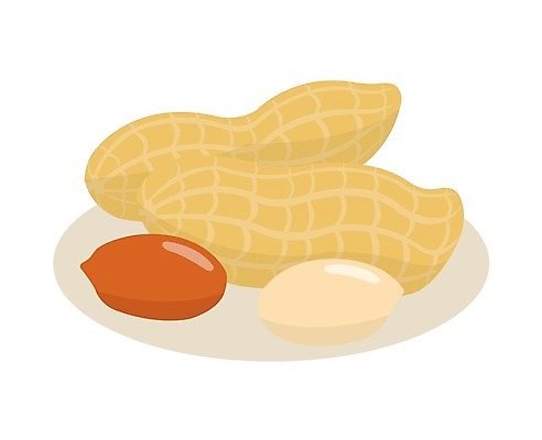 EPS 해외이미지 디자인 음식 백그라운드 다이어트 과일 일러스트 재료 자연 건조 건강 요리 씨앗 갈색 견과류 껍질 흰색 신선 오픈 맛 만화 먹기 심볼 유기농 알맹이 날것 땅콩 버터 내추럴 고립 숙성 채식주의자 스타일 현실 비건 해외일러스트 식물 웰빙 컬러 컨셉 모션 생태계 채식 파일형식 벡터 이미지허브