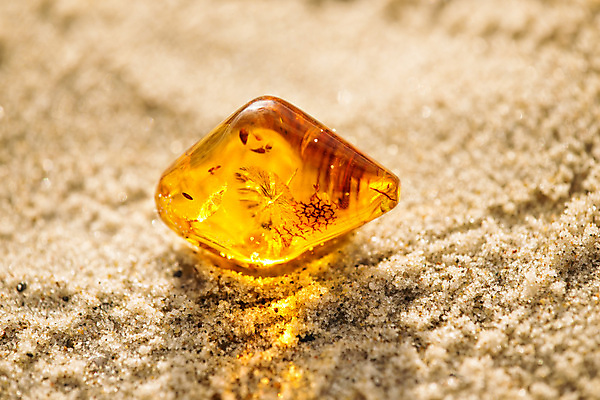 포토 JPG 해외이미지 자연 사람없음 빛 주황색 투명 보석 화석 앰버 해외포토 컬러 광석 생태계 파일형식 이미지허브