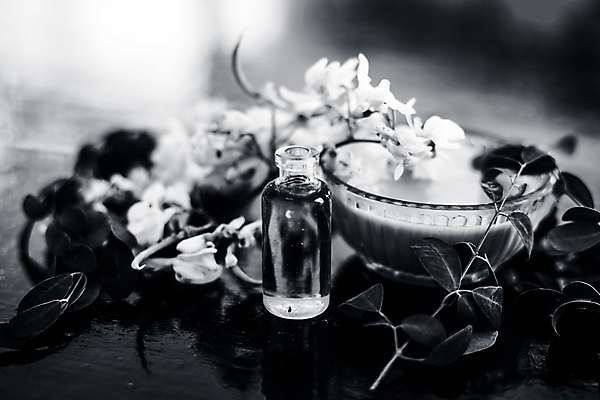 포토 JPG 해외이미지 음식 잎 자연 건강 동양인 사람없음 목재 초록색 약 흰색 시골 신선 인도인 허브 피부 크림 유기농 반죽 스킨케어 여드름 보충 돌봄 채식주의자 슈퍼푸드 비건 해외포토 외국인 나무 식물 웰빙 컬러 재료 의학 모션 인종 신체부위 뷰티 생태계 채식 건강식품 파일형식 이미지허브