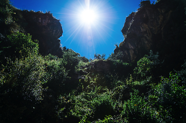 포토 JPG 해외이미지 나무 백그라운드 자연 풍경 사람없음 내부 초록색 여름 빛 강 햇빛 태양 평화 환경 봄 안개 광선 잡기 개울 균열 보호 숲 열대우림 내추럴 해외포토 자연요소 식물 계절 컬러 컨셉 모션 날씨 생태계 파일형식 이미지허브