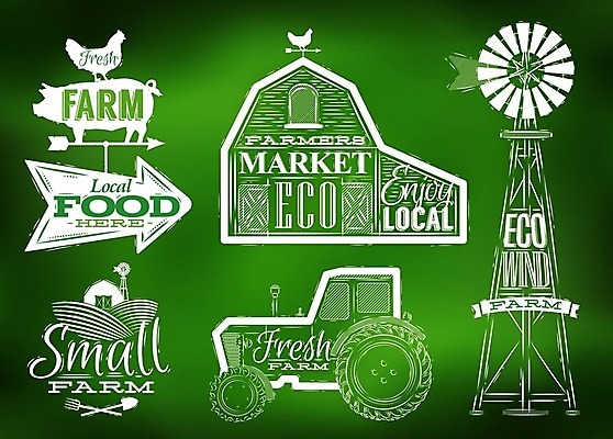 EPS 해외이미지 식물 손 디자인 배너 리본 음식 잎 밭 농업 채소 일러스트 캘리그라피 주택 건강 풍경 그래픽 초록색 세트 농장 라벨 마을 탑 식당 치킨 수확 신선 돼지 시장 상품 작음 심볼 그림 에코 유기농 복고 배지 트랙터 판화 우표 헛간 내추럴 외양간 그런지 목판화 해외일러스트 건축물 웰빙 산업 컬러 포유류 프레임 미술 건물 신체부위 환경 상점 크기 농기계 저장고 특수차량 닭고기요리 파일형식 벡터 이미지허브