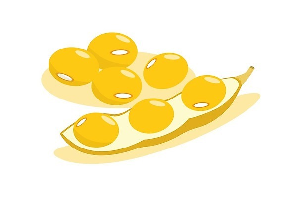 EPS 해외이미지 식물 디자인 음식 농업 다이어트 오렌지 일러스트 재료 자연 콩 건강 씨앗 농작물 농장 노란색 식사 우유 견과류 신선 플랫 낟알 만화 먹기 유기농 완두콩 날것 내추럴 고립 꼬투리 단백질 대두 숙성 페스츄리 해외일러스트 웰빙 산업 빵 컬러 과일 모션 유제품 곡류 생태계 영양소 파일형식 벡터 이미지허브