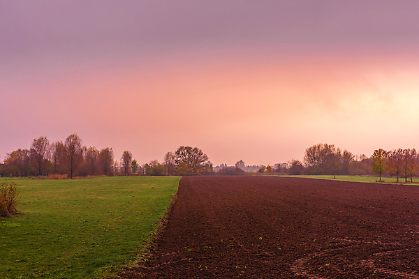 포토 JPG 해외이미지 식물 계절 분홍색 밭 자연 벽지 하늘 아침 파노라마 사람없음 야외 빨간색 초록색 빛 컬러풀 햇빛 태양 평화 일출 환경 일몰 새벽 시골 땅 제비꽃 장면 지역 천국 강렬 방법 해외포토 주간 자연요소 꽃 컬러 컨셉 농업 촬영기법 노을 생태계 파일형식 이미지허브