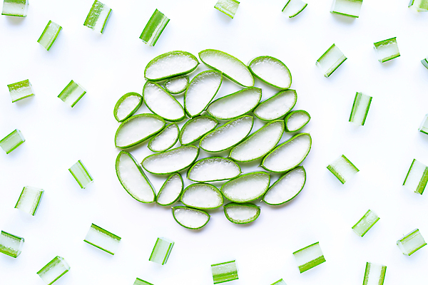 포토 JPG 해외이미지 스튜디오촬영 단면 실내 사람없음 하이앵글 흰배경 알로에 해외포토 식물 뷰포인트 백그라운드 내부 흰색 파일형식 이미지허브