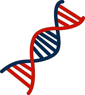 EPS 해외이미지 모델 디자인 과학 일러스트 추상 세포 나선형 건강 사람 약 암호 DNA 심볼 생물학 원자 미생물 염색체 복제 유전 해외일러스트 교육 무늬 의학 생물 생명공학 파일형식 벡터 이미지허브