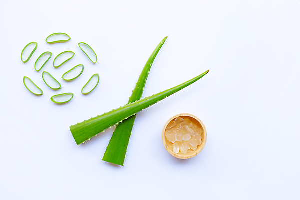 포토 JPG 해외이미지 스튜디오촬영 단면 실내 사람없음 하이앵글 흰배경 나무그릇 알로에 해외포토 식물 그릇 뷰포인트 백그라운드 내부 목재 흰색 파일형식 이미지허브