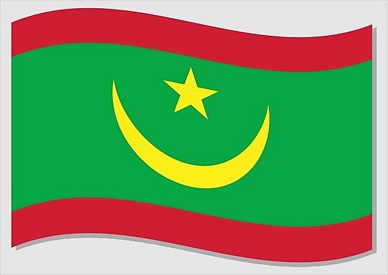 EPS 해외이미지 전통 디자인 배너 별 문화 물결 여행 일러스트 바람 그래픽 빨간색 초록색 노란색 줄무늬 자유 달 깃발 역사 심볼 사인 웨이브 진홍색 애국심 독립 잔물결 전국 정부 지리 해외일러스트 자연요소 컬러 컨셉 무늬 날씨 파일형식 벡터 이미지허브