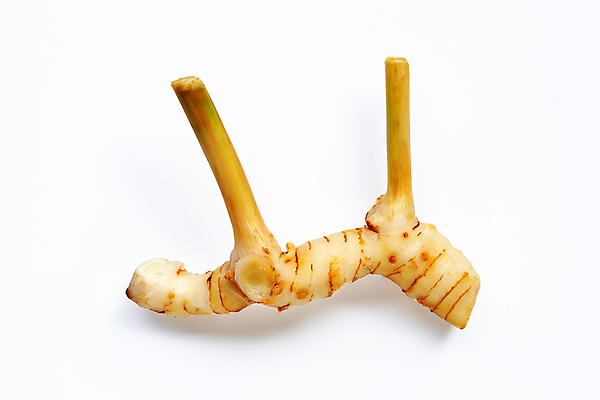 포토 JPG 해외이미지 줄기 실내 사람없음 한개 흰배경 생강 해외포토 식물 1 백그라운드 채소 내부 흰색 파일형식 이미지허브