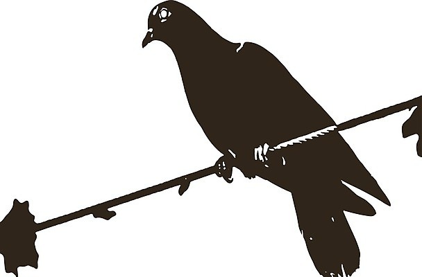 EPS 해외이미지 동물 1 야생동물 백그라운드 날개 일러스트 자연 조류 사랑 야외 파란색 반려동물 컬러풀 평화 환경 회색 자유 흰색 닫기 만화 심볼 깃털 싱글 비둘기 부리 내추럴 고립 동물상 무료 해외일러스트 감정 컬러 컨셉 모션 조형물 생태계 파일형식 벡터 미술 문화예술 이미지허브