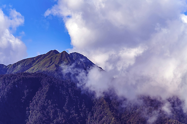 포토 JPG 해외이미지 나무 구름 실루엣 여행 백그라운드 밭 자연 하늘 산 파노라마 풍경 사람없음 야외 초록색 여름 파란색 일출 봄 안개 시골 정상 숲 땅 언덕 산등성이 알프스 장면 내추럴 땅바닥 절정 히말라야 수평선 해외포토 자연요소 식물 계절 유럽 컬러 농업 날씨 바닥 촬영기법 노을 생태계 파일형식 산맥 이미지허브
