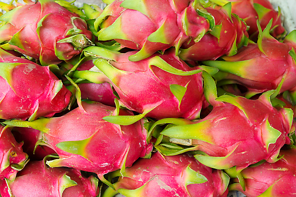 포토 JPG 해외이미지 식물 아시아 음식 과일 자연 건강 사람없음 달콤 유기농 내추럴 숙성 채식주의자 해외포토 웰빙 나라 맛 생태계 채식 파일형식 이미지허브