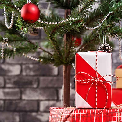 포토 JPG 해외이미지 나무 라이프스타일 디자인 계절 행복 백그라운드 크리스마스 겨울 포장 벽지 휴가 벽돌 새로움 바닥 주택 실내 선물 사람없음 내부 목재 장식 빨간색 초록색 산타클로스 축제 희망 방 흰색 축하 신용카드 12월 연도 구슬 포장지 오브젝트 레이아웃 정리 노엘 클라우스 해외포토 식물 기념일 감정 컬러 컨셉 재료 건물 생활 금융 날짜 파일형식 이미지허브