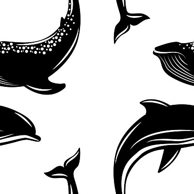 EPS 해외이미지 동물 디자인 바다 일러스트 포유류 자연 흑백 물 수중 수영 플랫 심볼 고래 돌고래 대륙 그림 고립 동물상 생태학 해외일러스트 자연요소 교육 촬영기법 조형물 수중동물 수상스포츠 생태계 파일형식 벡터 이미지허브