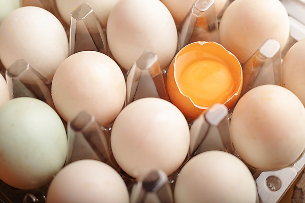 포토 JPG 해외이미지 동물 전통 음식 다이어트 재료 자연 조류 부활절 오리 프레임 건강 요리 사람없음 목재 세트 상자 농장 갈색 주방 식사 치킨 성장 흰색 시골 축하 신선 그룹 아침식사 상품 가득함 유기농 날것 칼로리 노른자 흙더미 내추럴 깨짐 단백질 생식 취급주의 해외포토 나무 웰빙 기념일 컬러 컨셉 농업 경고 계란 흙 생태계 닭고기요리 영양소 파일형식 더미 이미지허브