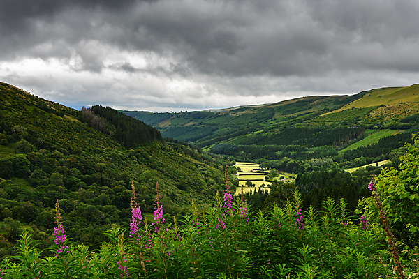 포토 JPG 해외이미지 계절 농업 자연 하늘 날씨 휴가 영국 웨일즈 산 국립공원 풍경 사람없음 야외 가로 관광지 농경지 평화 계곡 사진촬영 침묵 고요 시골 언덕 장면 내추럴 수평선 카피스페이스 해외포토 공원 유럽 산업 여행 컨셉 농장 촬영 소리 공백 생태계 파일형식 이미지허브