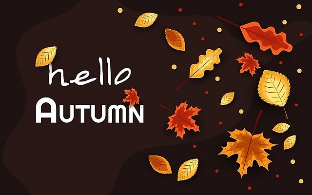 EPS 해외이미지 식물 템플릿 디자인 배너 계절 포스터 백그라운드 컨셉 단풍 잎 오렌지 일러스트 모션 자연 벽지 휴가 프레임 선물 미술 장식 빨간색 단어 컬러풀 노란색 유행 가을 신용카드 정상 9월 사인 질감 레이아웃 주말 활기 애니메이션 추수감사절 동영상 구성 해외일러스트 문자 기독교 컬러 과일 문화예술 금융 날짜 생태계 파일형식 벡터 이미지허브