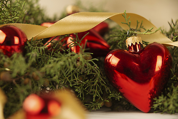 포토 JPG 해외이미지 전통 계절 별 리본 크리스마스장식 크리스마스 촛불 공 불 휴가 기념 따뜻함 사랑 사람없음 장식 빛 우주 축제 공백 머그컵 신용카드 화려 분위기 황금 맛 12월 연도 향 상록수 원뿔 연소 노엘 왁스 화상 크리스마스배경 해외포토 자연요소 도형 기념일 감정 백그라운드 컨셉 초 컵 금융 날짜 상처 파일형식 이미지허브