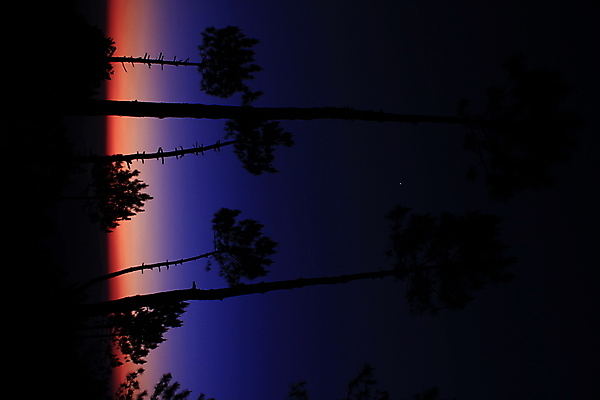 포토 JPG 해외이미지 나무 식물 구름 공원 실루엣 호수 여행 백그라운드 잎 자연 벽지 하늘 추상 휴가 손바닥 풍경 사람없음 야외 초록색 여름 파란색 빛 컬러풀 햇빛 태양 우주 일출 맑음 일몰 봄 수확 저녁 숲 복고 코코넛 내추럴 해외포토 자연요소 손 계절 공공시설 컬러 무늬 농업 과일 날씨 촬영기법 노을 야간 생태계 파일형식 이미지허브