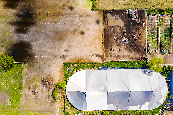 포토 JPG 해외이미지 동물 스포츠 백그라운드 패턴 밭 포유류 자연 하늘 안테나 그림자 풍경 사람없음 야외 초록색 여름 농장 갈색 일출 일몰 목장 사막 흰색 시골 승마 카우보이 정상 방목 내추럴 땅바닥 무료 방목장 조감도 해외포토 계절 컬러 무늬 농업 통신 바닥 노을 축산업 생태계 파일형식 이미지허브