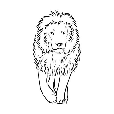 EPS 해외이미지 동물 얼굴 야생동물 선 백그라운드 일러스트 포유류 아프리카 자연 흑백 동물원 미술 그래픽 머리 검은색 고양이 힘 흰색 위험 사자 왕 스케치 문신 심볼 사파리 사인 그림 코 사냥 윤곽 육식동물 갈기 사냥꾼 사자자리 고립 힘찬 현실 해외일러스트 직업 나라 컬러 컨셉 문화예술 촬영기법 신체부위 반려동물 별자리 생태계 파일형식 벡터 이미지허브