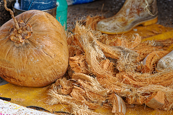 포토 JPG 해외이미지 식물 전통 디자인 계절 아시아 문화 백그라운드 과일 태국 자연 건강 선물 미술 동양인 사람없음 목재 장식 갈색 바구니 견과류 수확 껍질 업무 사발 시장 닫기 상품 오브젝트 유기농 기념품 코코넛 수공예 내추럴 등나무 옛날 핸드메이드 스타일 해외포토 나무 웰빙 나라 컬러 농업 재료 모션 문화예술 인종 작업 사기그릇 공예 생태계 파일형식 이미지허브