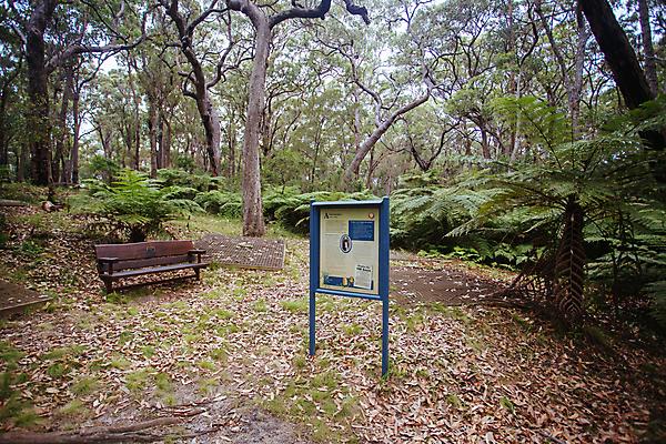 포토 JPG 해외이미지 건축양식 사람없음 시골 역사 황금 호주 숲 땅파기 인기 해외포토 건축 오세아니아 파일형식 이미지허브