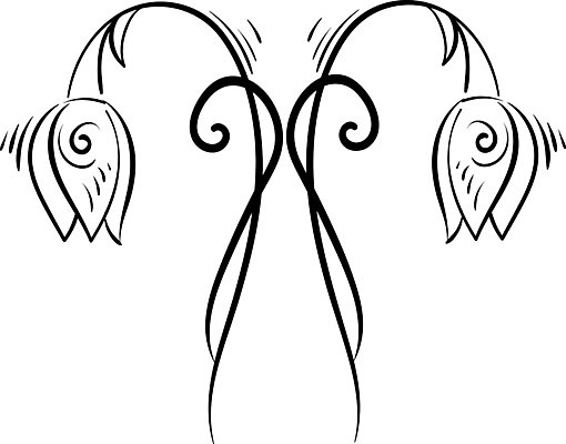 EPS 해외이미지 식물 디자인 꽃 백그라운드 잎 꽃무늬 일러스트 자연 벽지 장식 초록색 파란색 유행 봄 사막 흰색 직물 호주 인쇄 질감 손그림 행주 해외일러스트 계절 컬러 무늬 오세아니아 청소도구 생태계 파일형식 벡터 이미지허브