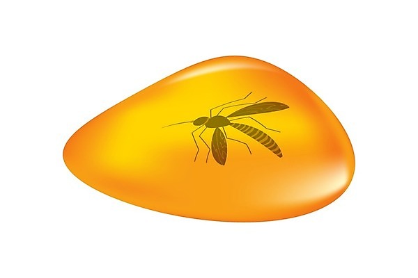 EPS 해외이미지 나무 야생동물 바다 조각 과학 곤충 백그라운드 오렌지 일러스트 자연 실내 세계 바위 흰색 시간 투명 황금 벌레 떨어짐 보석 유기농 생물학 화석 고생물 선사시대 고립 옛날 지질학 막 해외일러스트 식물 동물 웰빙 교육 컬러 컨셉 과일 생물 내부 돌_바위 역사 광석 생태계 파일형식 벡터 이미지허브