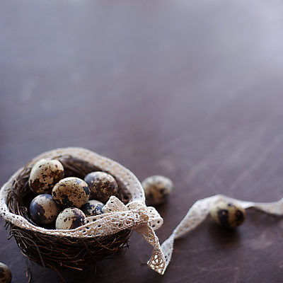 포토 JPG 해외이미지 음식 백그라운드 자연 휴가 건강 사람없음 야외 목재 장식 갈색 바구니 봄 수확 흰색 시골 축하 점 신용카드 둥지 작음 4월 깃털 유기농 부활절계란 심플 초대 건강식 내추럴 메추리 스타일 카피스페이스 해외포토 나무 웰빙 계절 컬러 컨셉 농업 재료 부활절 금융 계란 공백 날짜 크기 생태계 파일형식 이미지허브