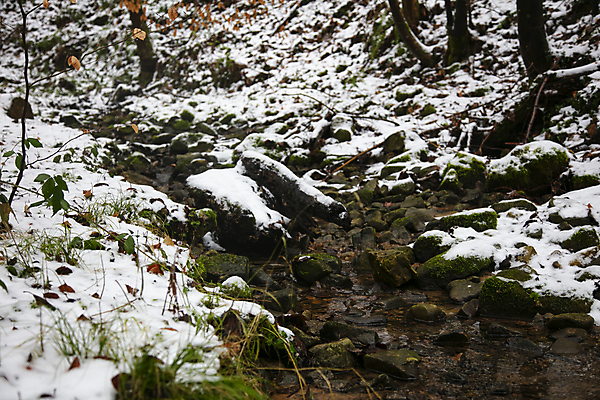포토 JPG 해외이미지 나무 식물 계절 공원 여행 백그라운드 잎 크리스마스 겨울 자연 하늘 날씨 산 아이디어 풍경 사람없음 목재 초록색 물 여름 강 환경 얼음 봄 폭포 흐름 추위 안개 덮개 바위 신선 개울 숲 암초 온도 해외포토 자연요소 공공시설 기념일 컬러 컨셉 재료 뚜껑 생태계 파일형식 이미지허브