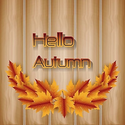 EPS 해외이미지 템플릿 계절 종이 백그라운드 단풍 잎 패턴 오렌지 일러스트 텍스트 벽지 추상 미술 경사 목재 꼬리표 검은색 어둠 가을 인사 신용카드 널 심볼 사인 질감 종이접기 10월 해외일러스트 나무 식물 컬러 무늬 과일 재료 문화예술 금융 라벨 예절 날짜 접기 파일형식 벡터 이미지허브